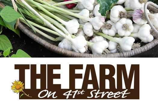 The Farm on 41st Street